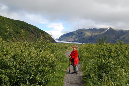 auf dem Weg durch niedrigen Moorbirkenwald zum Skaftafellsjökull