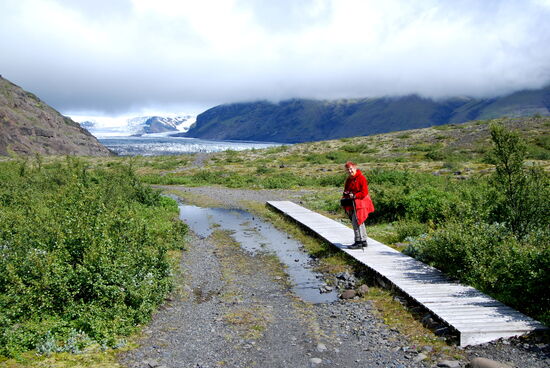 Feuchtgebiete wurden durch Bohlenwege überbrückt