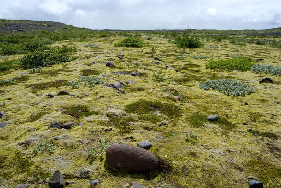 gefolgt von Geländebuckeln