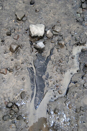 blankes Eis im Geröll