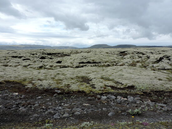 alte mit Moos überwachsene Lava