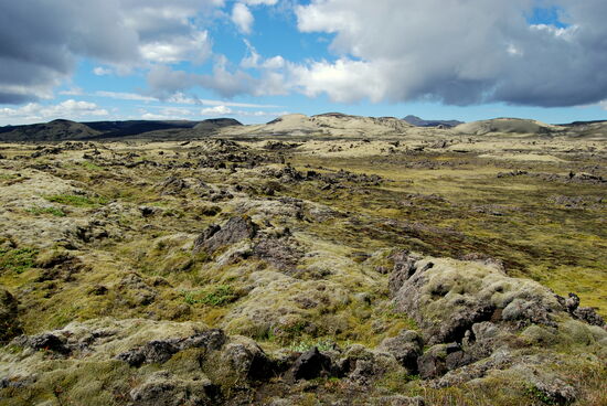 die mit Moos überwachsen war