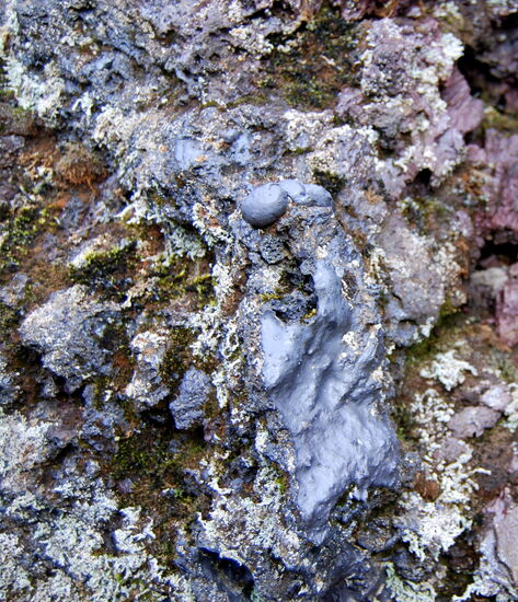 unterschiedliche Lava