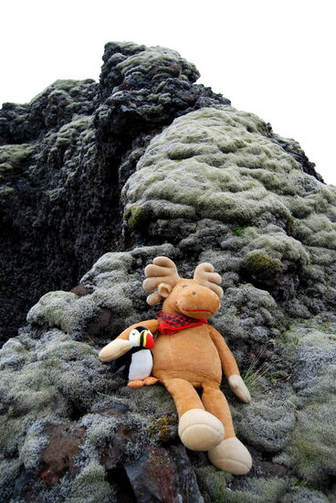 Schweden trifft Ísland