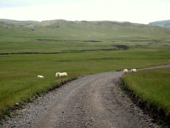 dann kam die Urbevölkerung in Sicht 