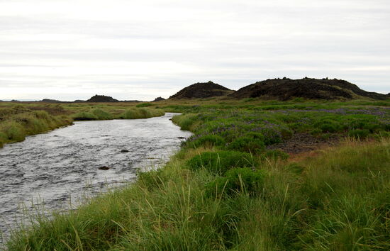 das Flüßchen Dýralækir kurz vor Vík