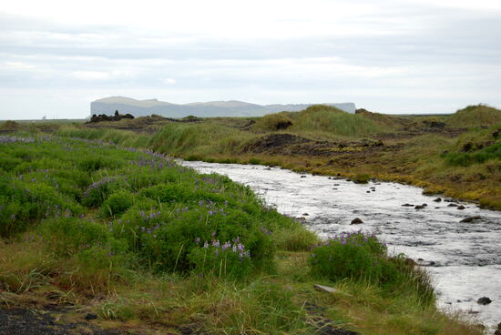 mit Hjörleifshöfði am Horizont