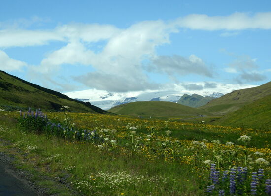 Blick zum Mýrdalsjökull bei der Ausfahrt aus Vík