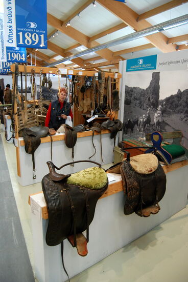 Pferde, alles nach Jahren eingeordnet