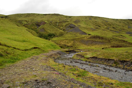 Weg zur Schlucht Nauthúsagil.