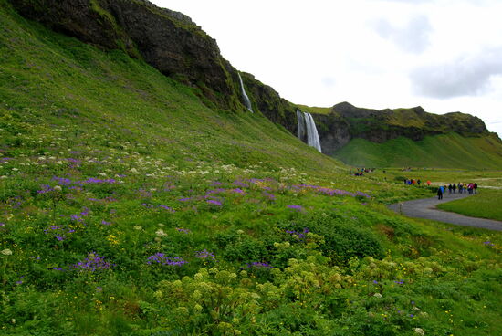 auf dem Weg zum Wasserfall