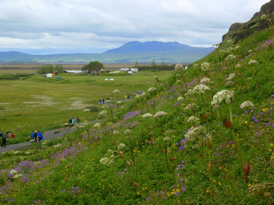 wir gingen zurück zum Campingplats