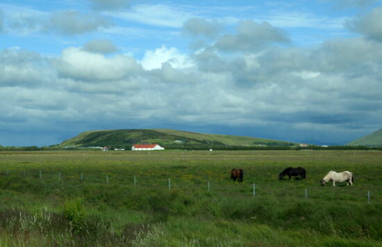 Landschaft neben der N1