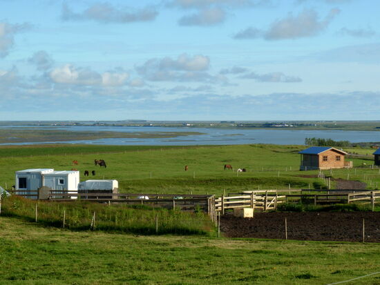 Pferdeweiden und Ferienhäuser