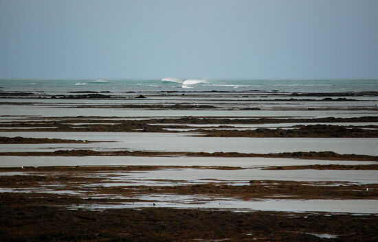 Blick aufs Meer vor Eyrarbakki