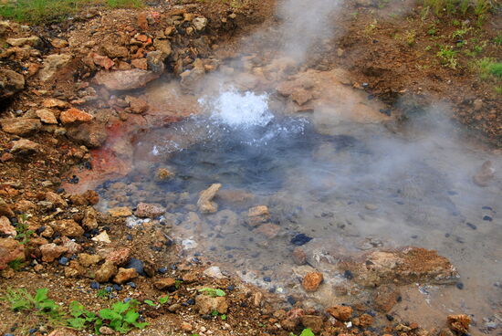 die einzige noch vorhandene Quelle