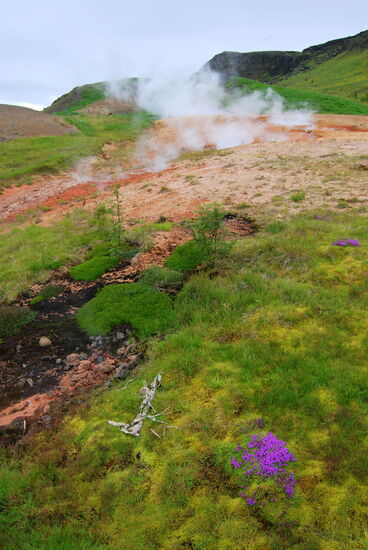 oben im Geothermalgebiet