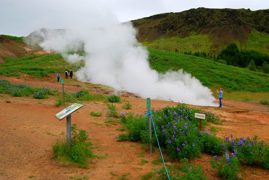 Touristen hinter der Absperrung