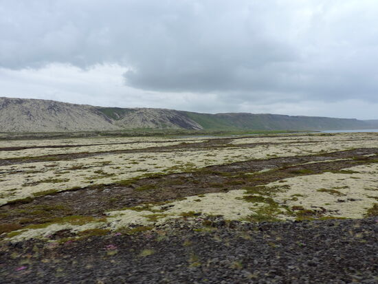 bewachsene Lava vor dem Gebirgszug