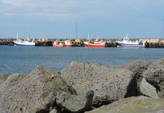 im Hafen von Sandgerði