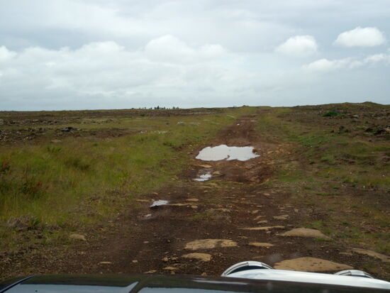 der später spärlicher wurde