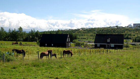 Kjöthúsið og Kornhúsið, das Fleischhaus und das Kornhaus