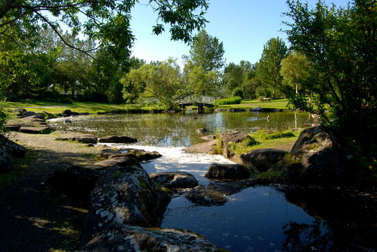 Seen des botanischen Gartens