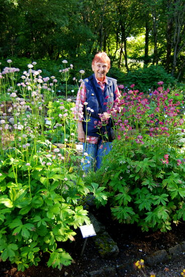Christa mittenmang die Blümchen