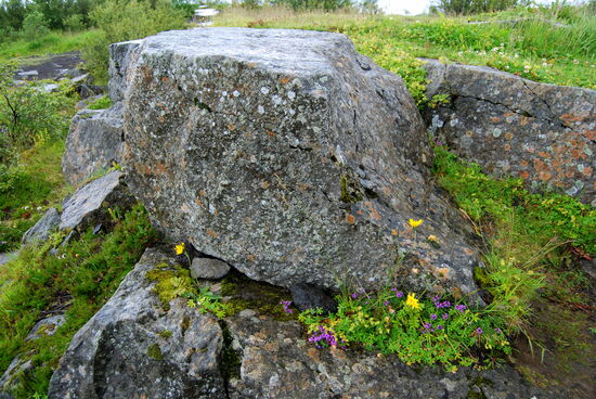 Elfengarten, hier haben wir sie singen gehört