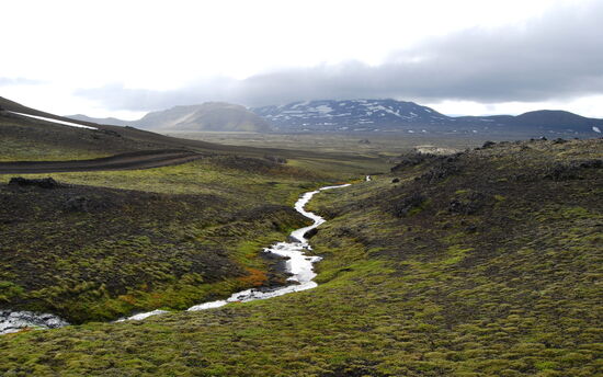 wo Wasser vorhanden ist, grünt und blüht es