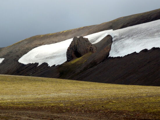 welches Tier ist das?