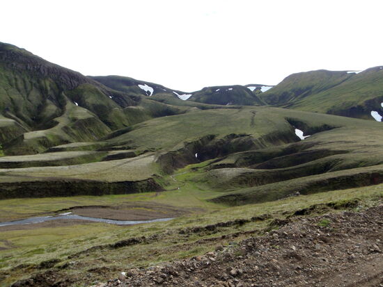 wieder an der Fahrspur im Gelände vorbei