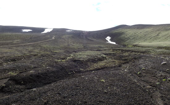 in einer Mulde lag eine weiße Katze
