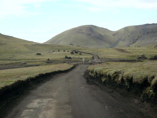 tief eingeschnittene Piste durch Grasland