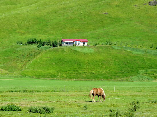 es gab aber noch Häuser und Pferdeweiden