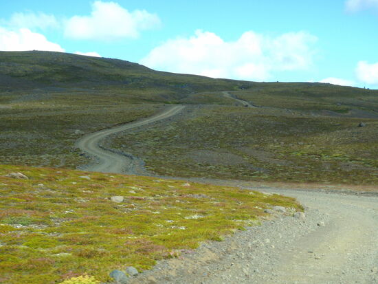 dann stieg die Piste wieder an