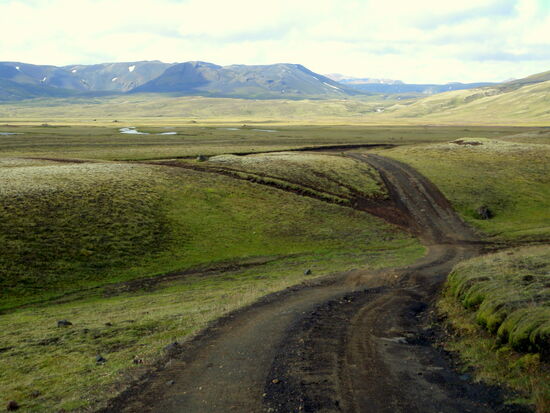 die Ausfahrt vom Platz kreuzten wohl Pferdespuren