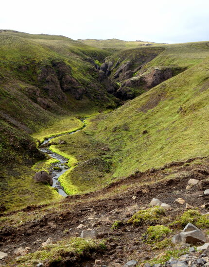 an Wasserläufen ist es meist grün