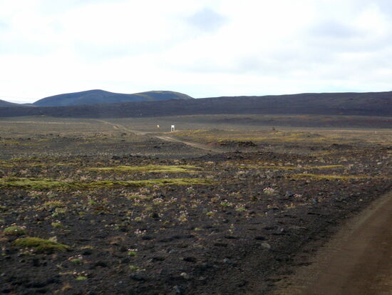 dann erreichten wir die Gabelung der F 210 und F 232