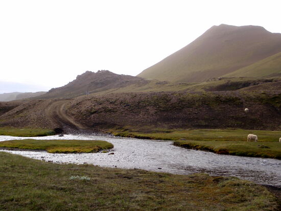 die letzte Vadställe dort erreicht hatten