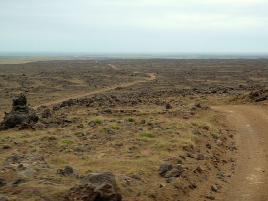 dann führte die Piste in die Ebene hinunter