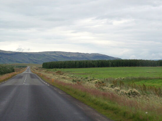 hier waren schon kleine Wälder aufgeforstet
