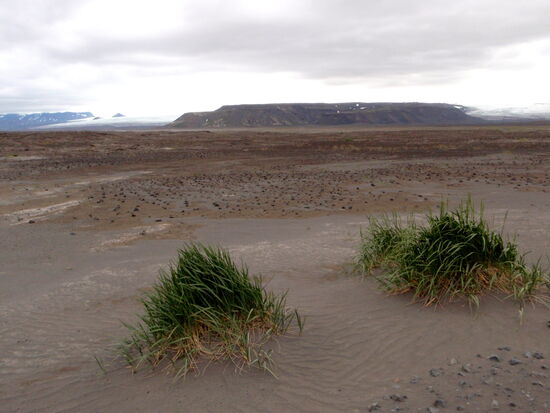 Blick über Sandflächen zum Gletscher