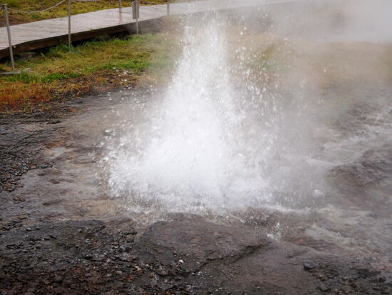 springt bis zu 1 m hoch