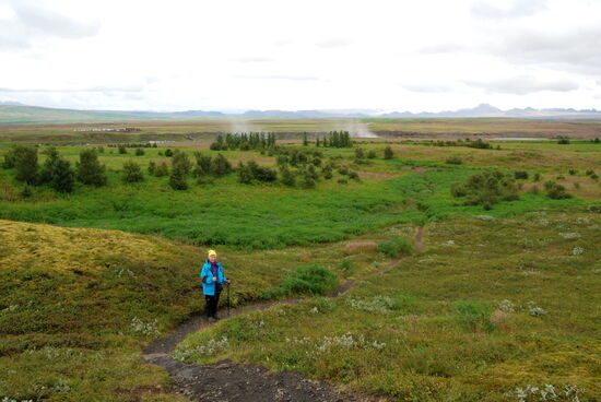 vom Parkplatz aus sahen wir schon die Gischtfahnen des Gullfoss