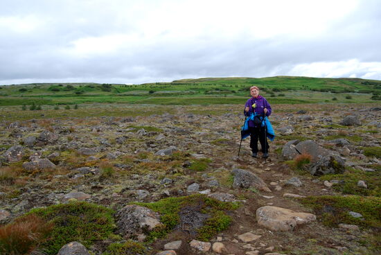 Wanderung durch das Steinfeld