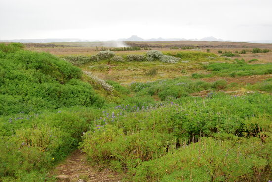 Blick zurück zur Wasserfallgischt