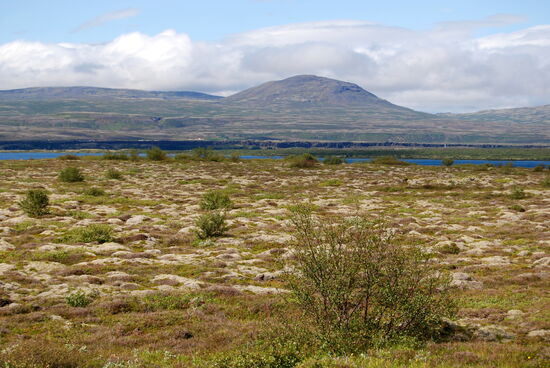 Blick über die Senke von Þingvellir