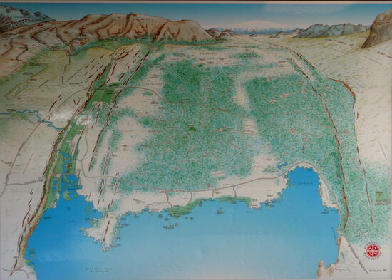 der gesamte Bereich der Senke, die durch das Auseinanderdriften der Kontinentalplatten entstanden ist (Infotafel im Kafé)