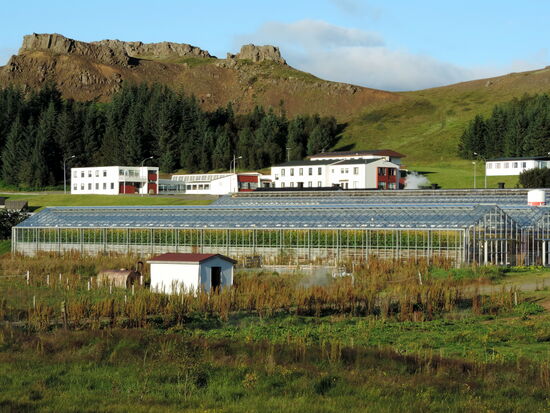 die Gewächshäuser neben dem